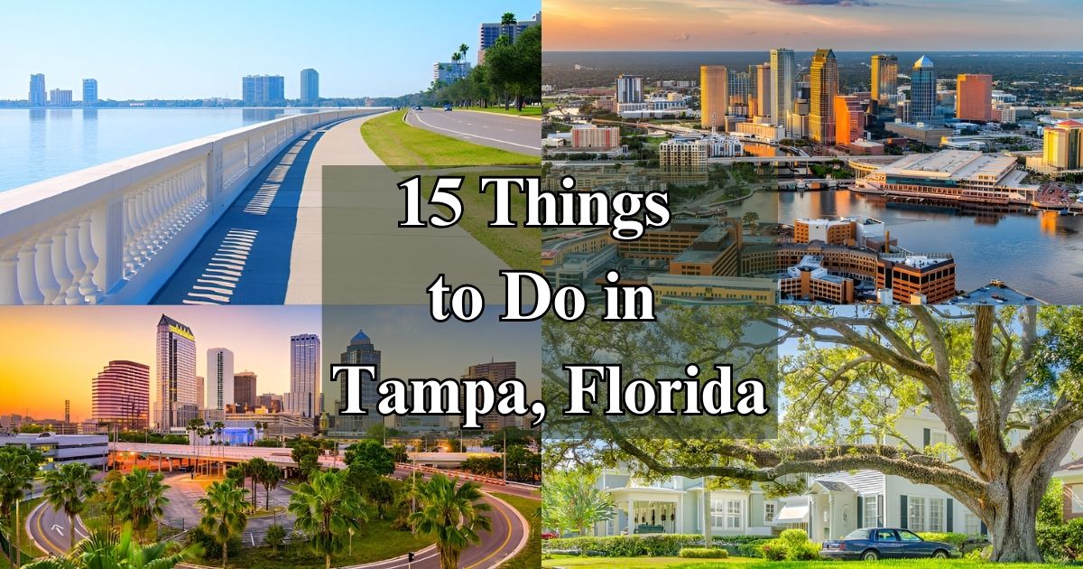 15 Things to Do in Tampa, Florida