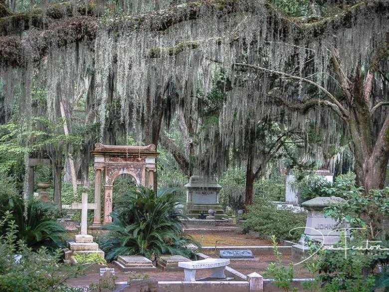 6. Explore Bonaventure Cemetery
