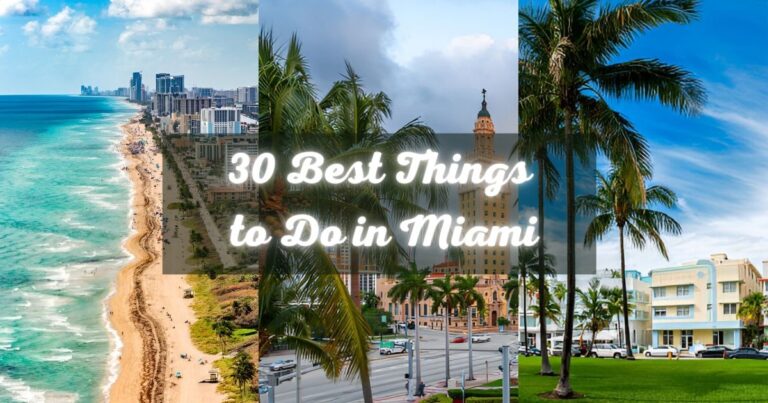 The 30 Best Things to Do in Miami