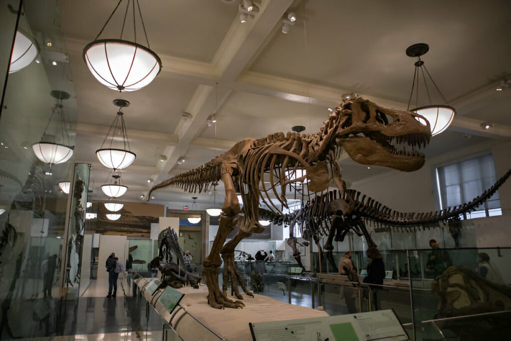 15. The Dinosaur Resource Center