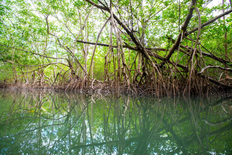 Oleta River State Park