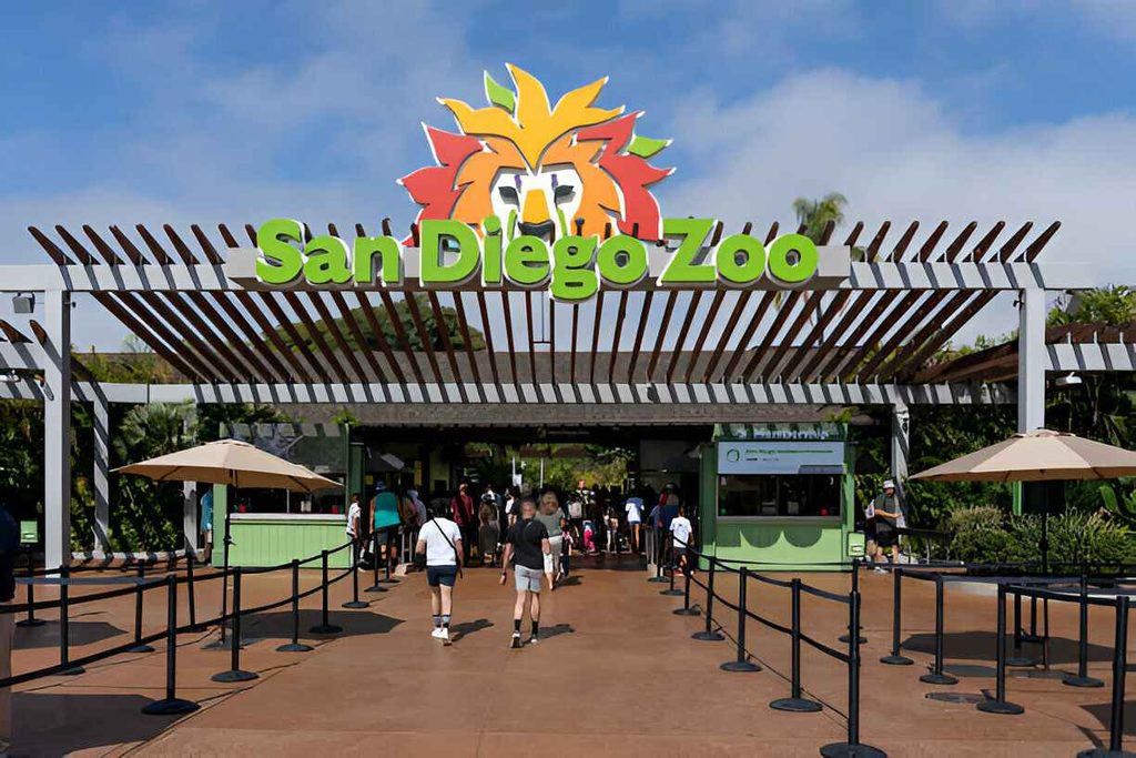 2. Explore the San Diego Zoo
