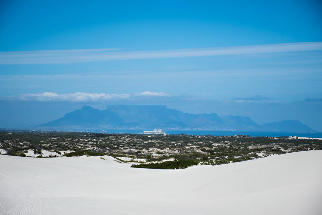 to-do-in-cape-town-with-kids/