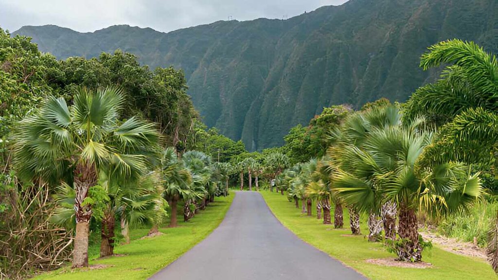 best-things-to-do-in-oahu-with-kids/
