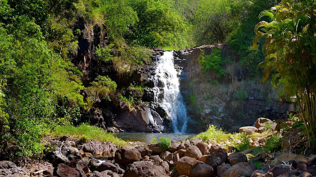 best-things-to-do-in-oahu-with-kids/