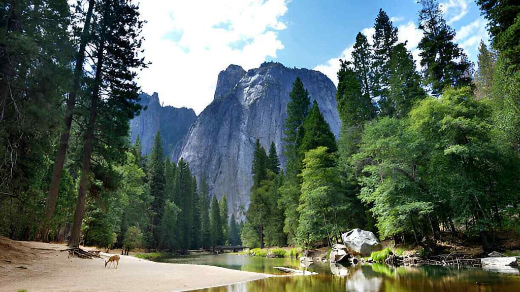 best-things-to-do-in-yosemite-national-park-with-kids/