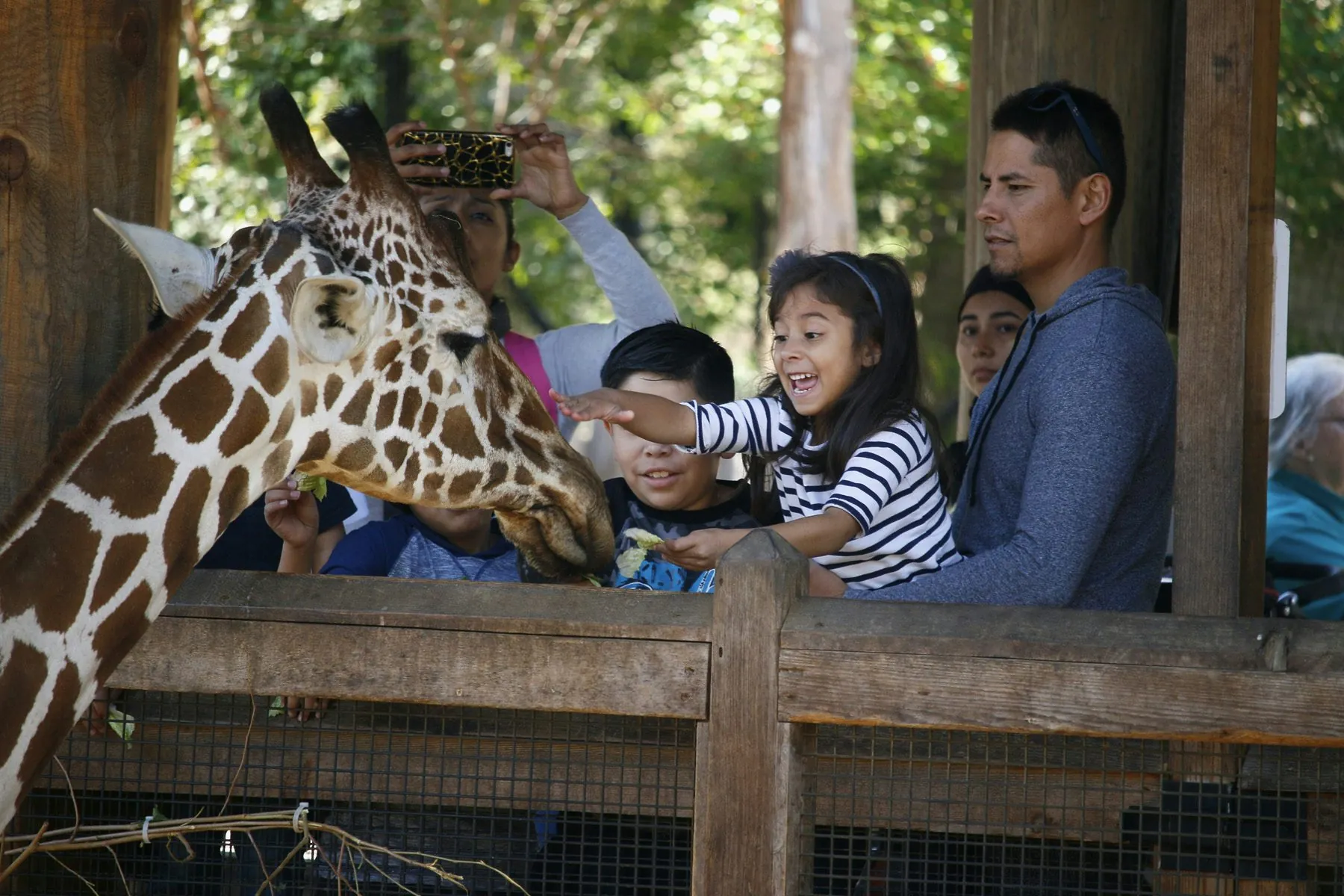 1. Explore the Dallas Zoo