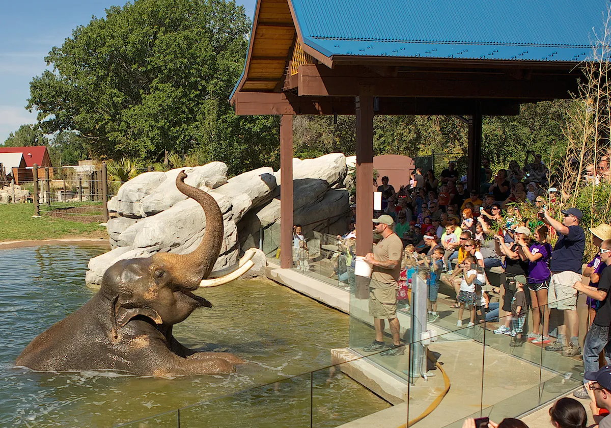 1. Explore the Denver Zoo