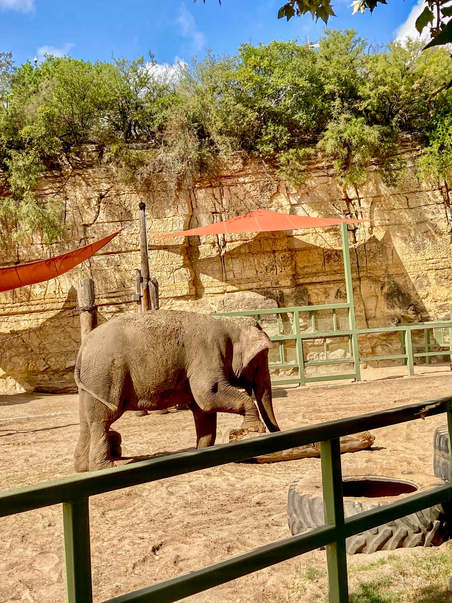 1. Explore the San Antonio Zoo