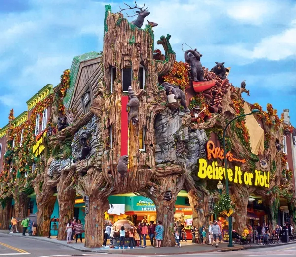 11. Discover Ripley’s Believe It or Not! Odditorium