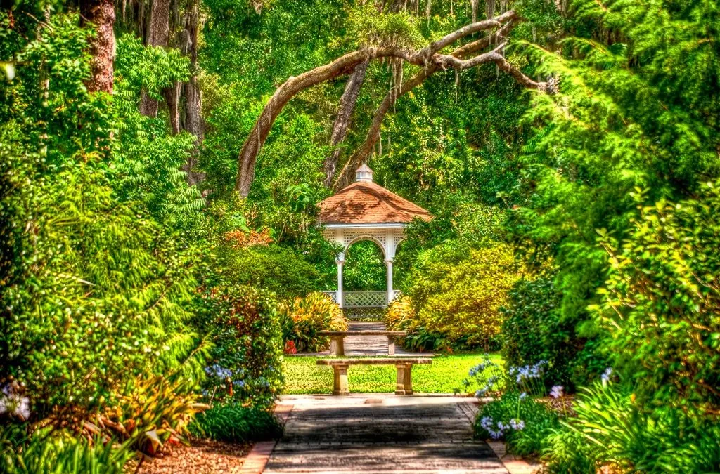 11. Explore Harry P. Leu Gardens