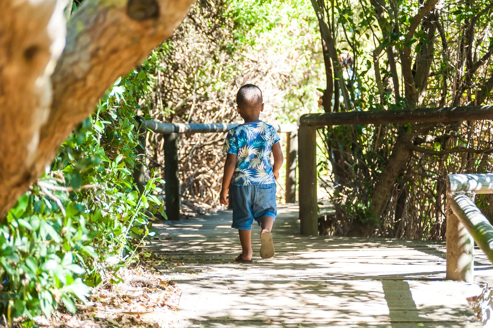 11. Explore Intaka Island Wetlands