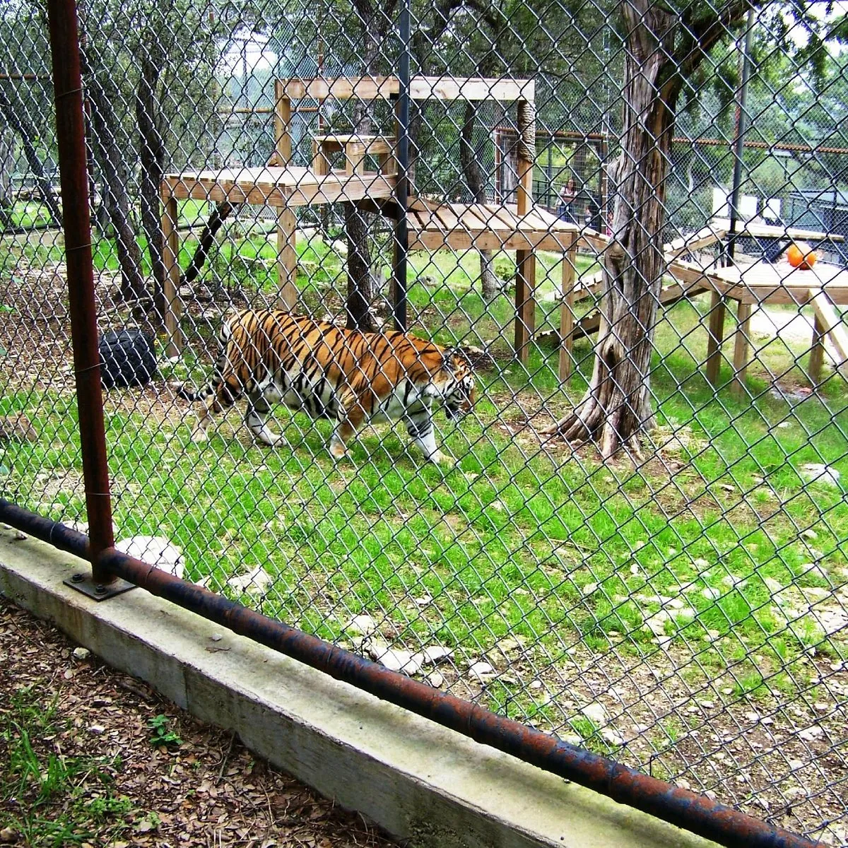 11. Visit the Austin Zoo