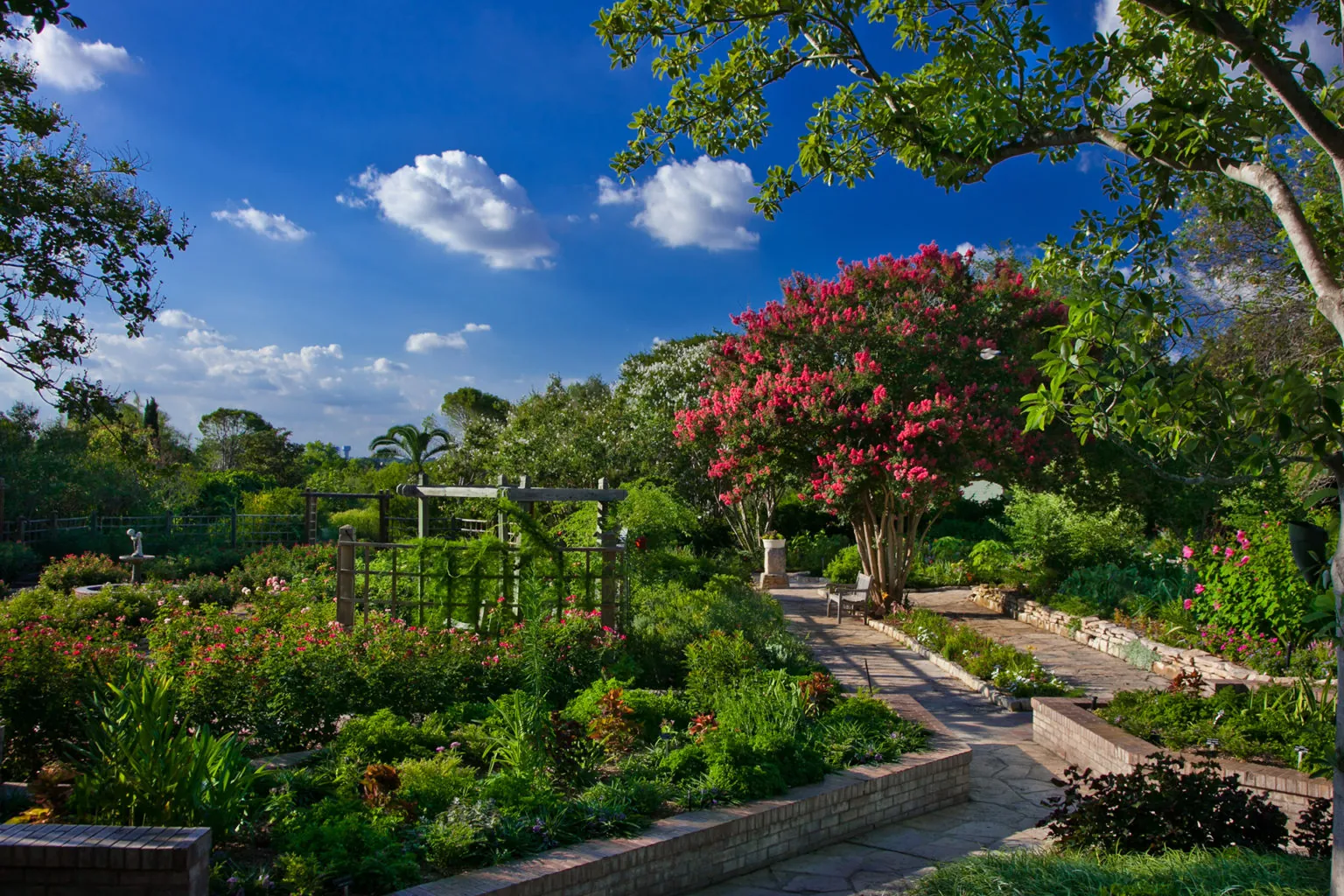 11. Visit the San Antonio Botanical Garden