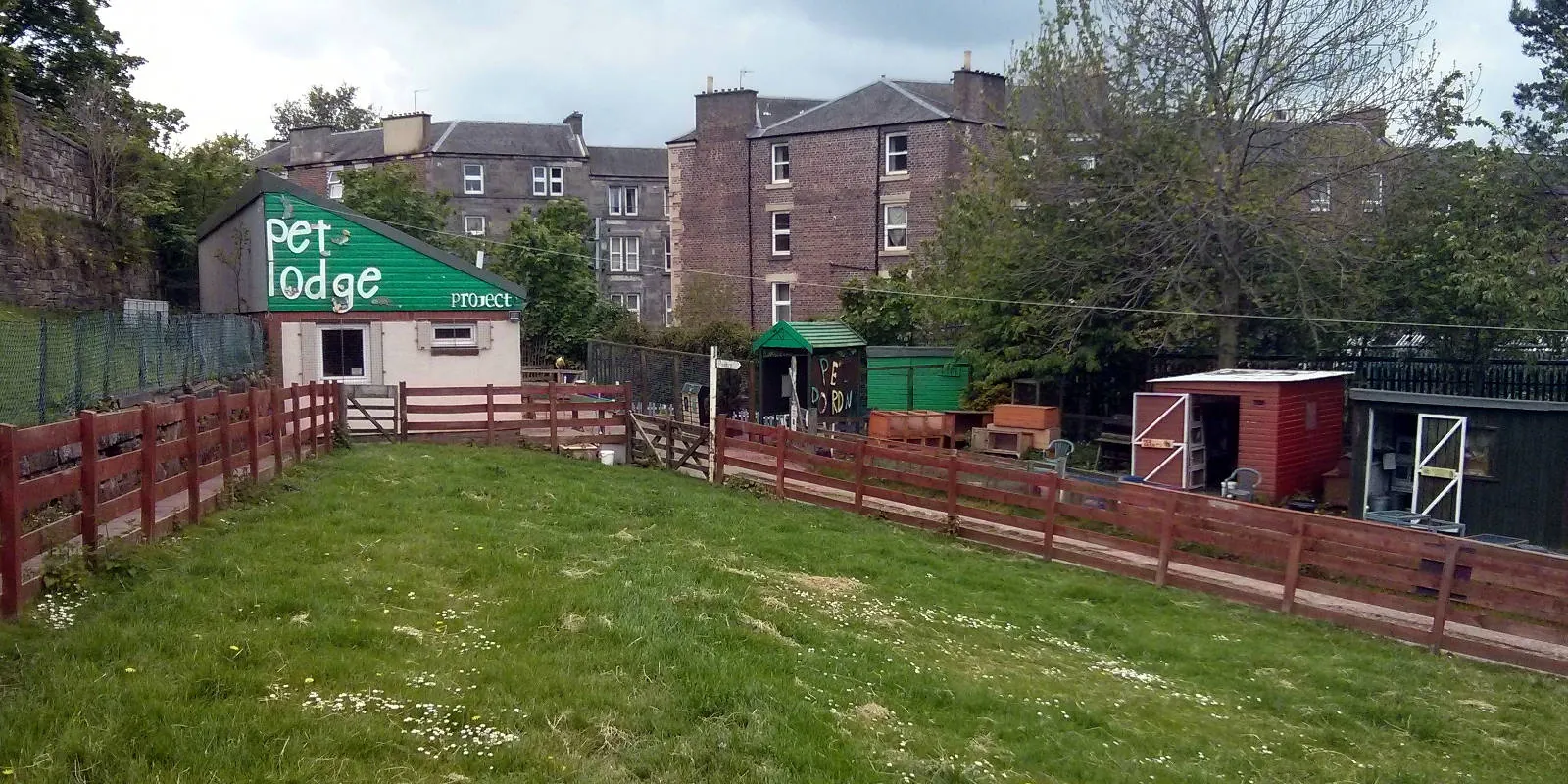 12. Experience Gorgie City Farm