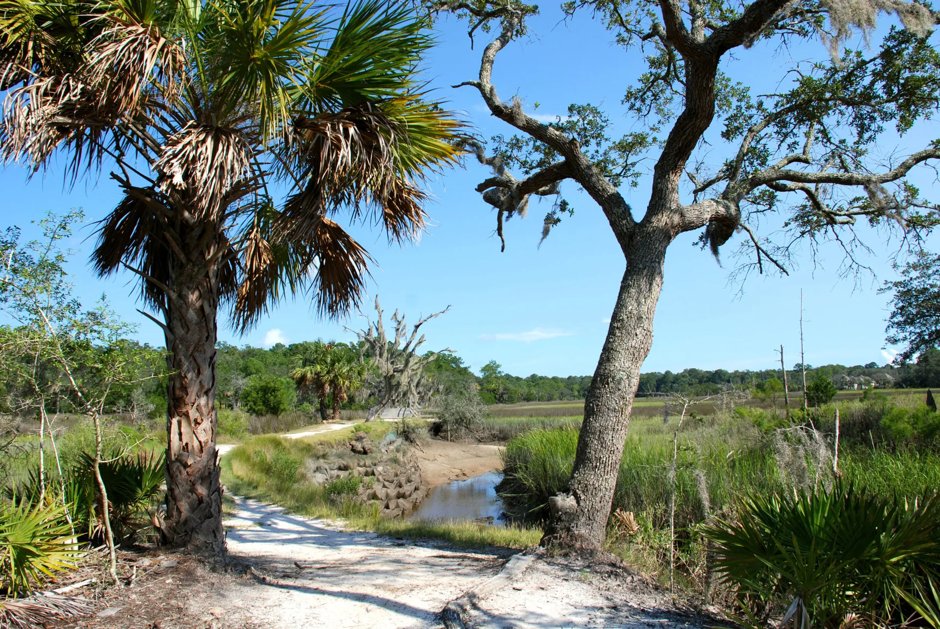 12. Explore Skidaway Island State Park