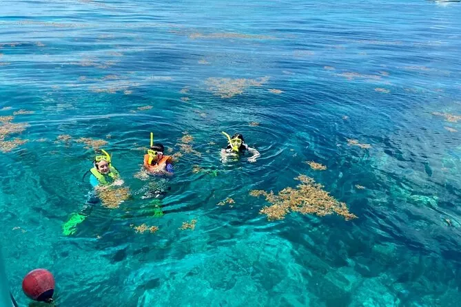 12. Snorkel at John C. Beasley Park’s Reef