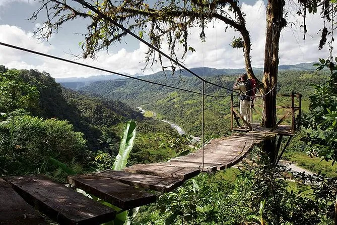 13. Day Trip to Mindo Cloud Forest