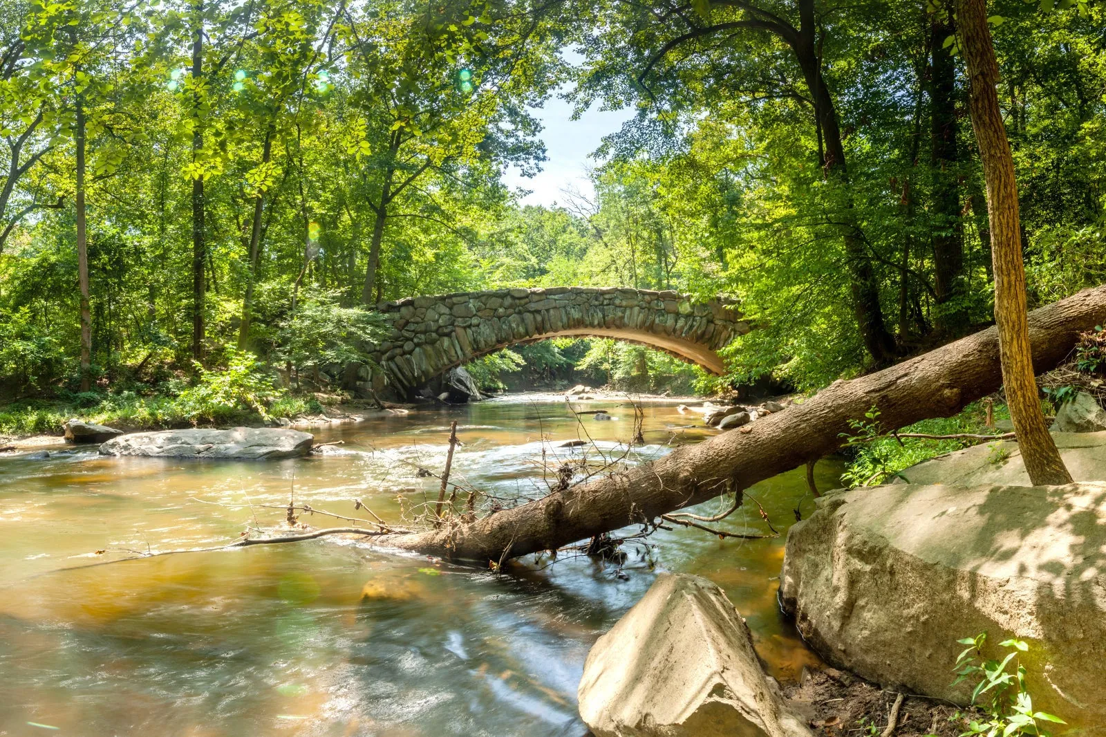 13. Enjoy Nature at Rock Creek Park