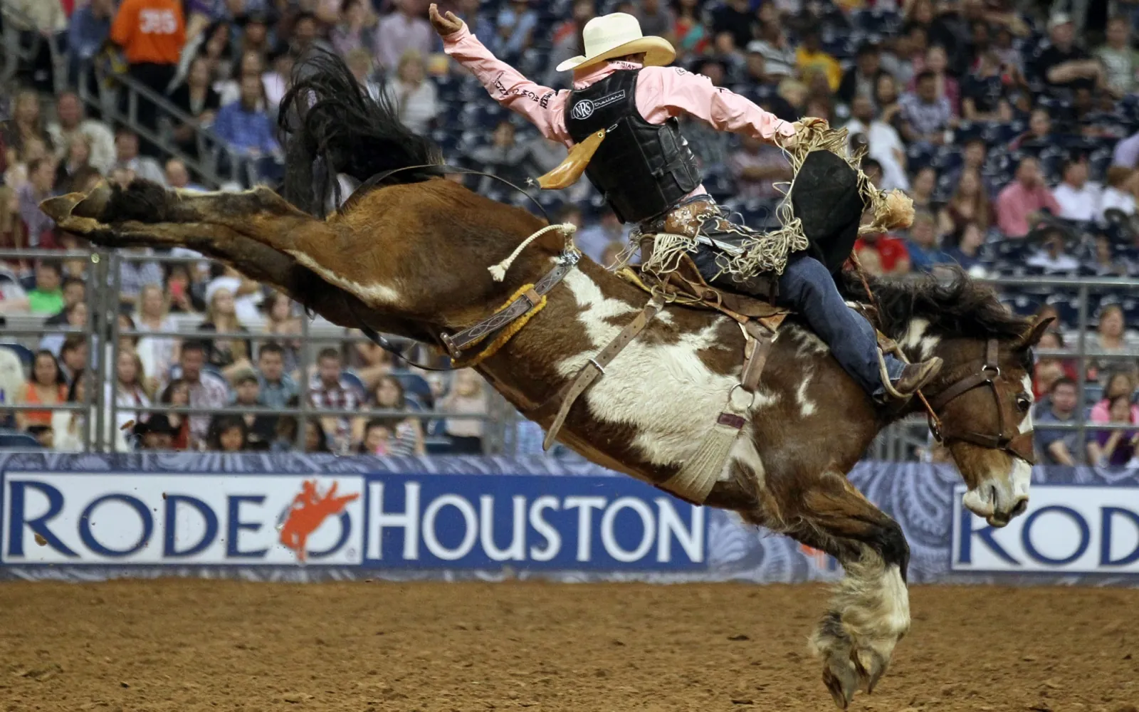 13. Houston Livestock Show and Rodeo (Seasonal)