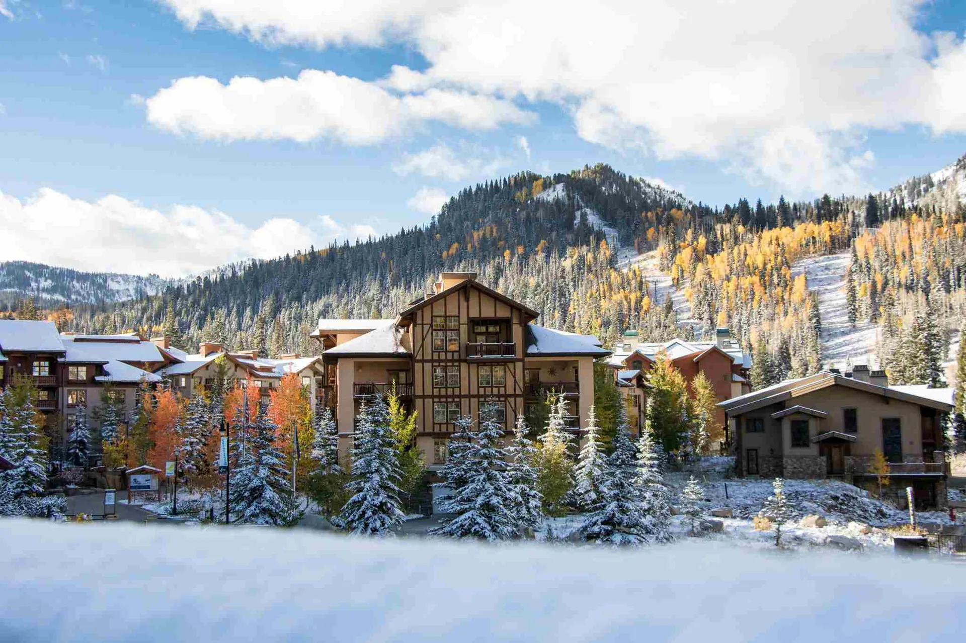 13. Ski Resorts Near Salt Lake City: Alta & Snowbird