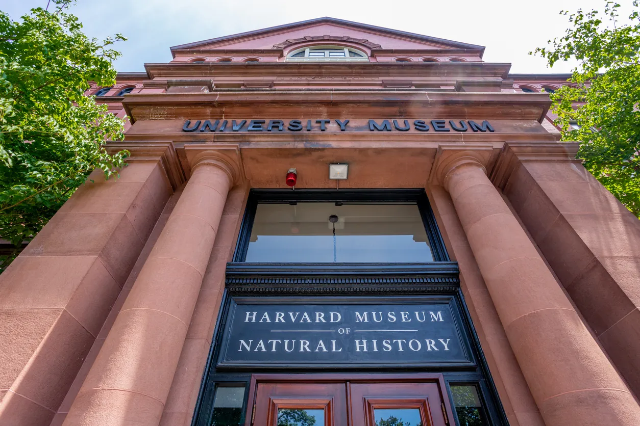 14. Explore the Harvard Museum of Natural History