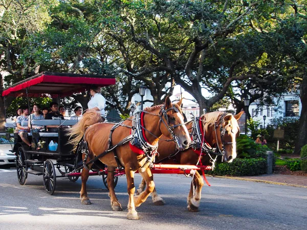 14. Take a Carriage Ride Through Historic Squares