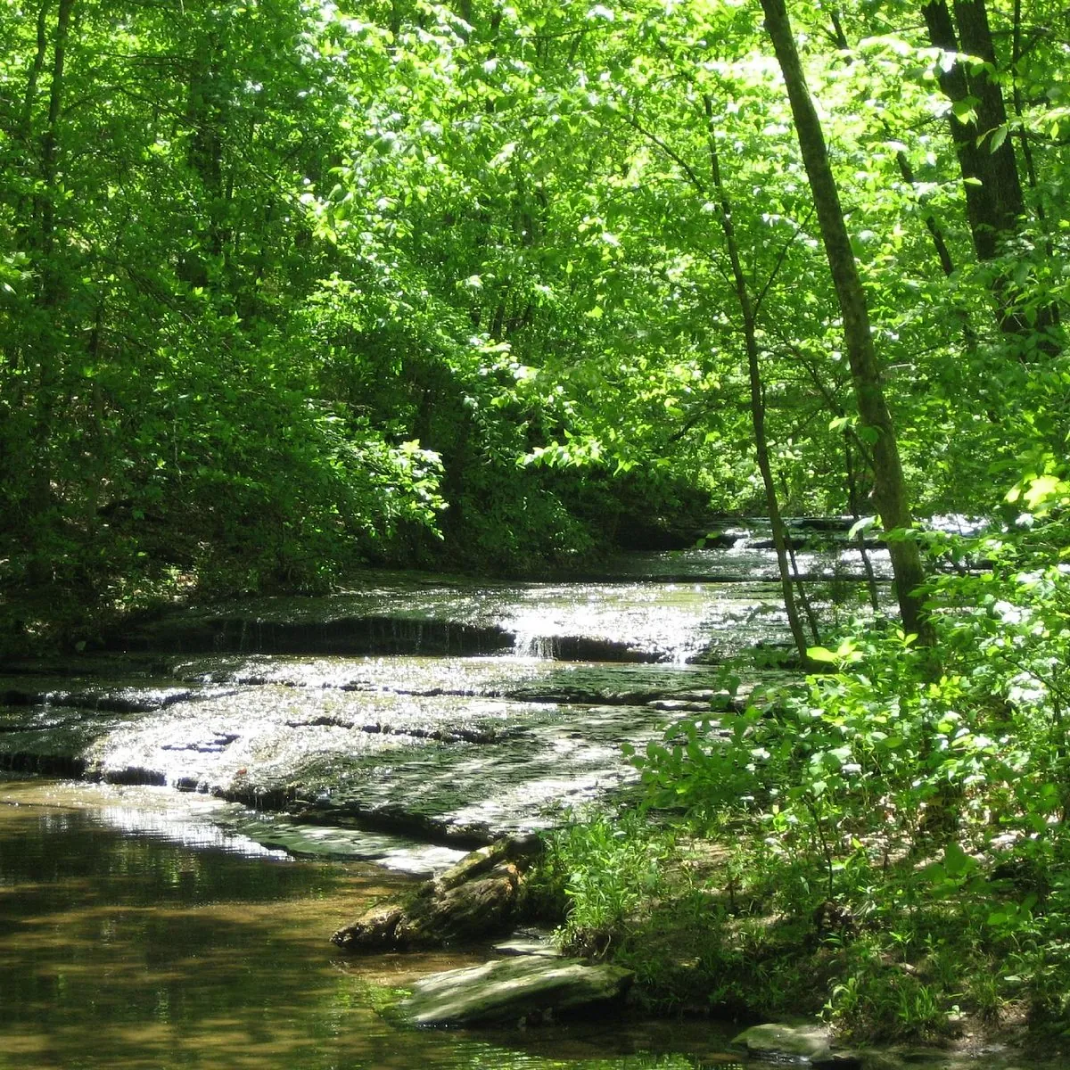 18. Discover Beaman Park Nature Center