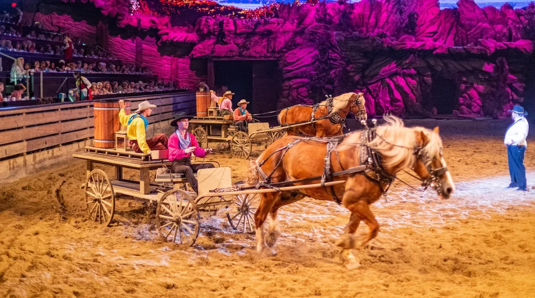 18. Dolly Parton’s Stampede Dinner Attraction