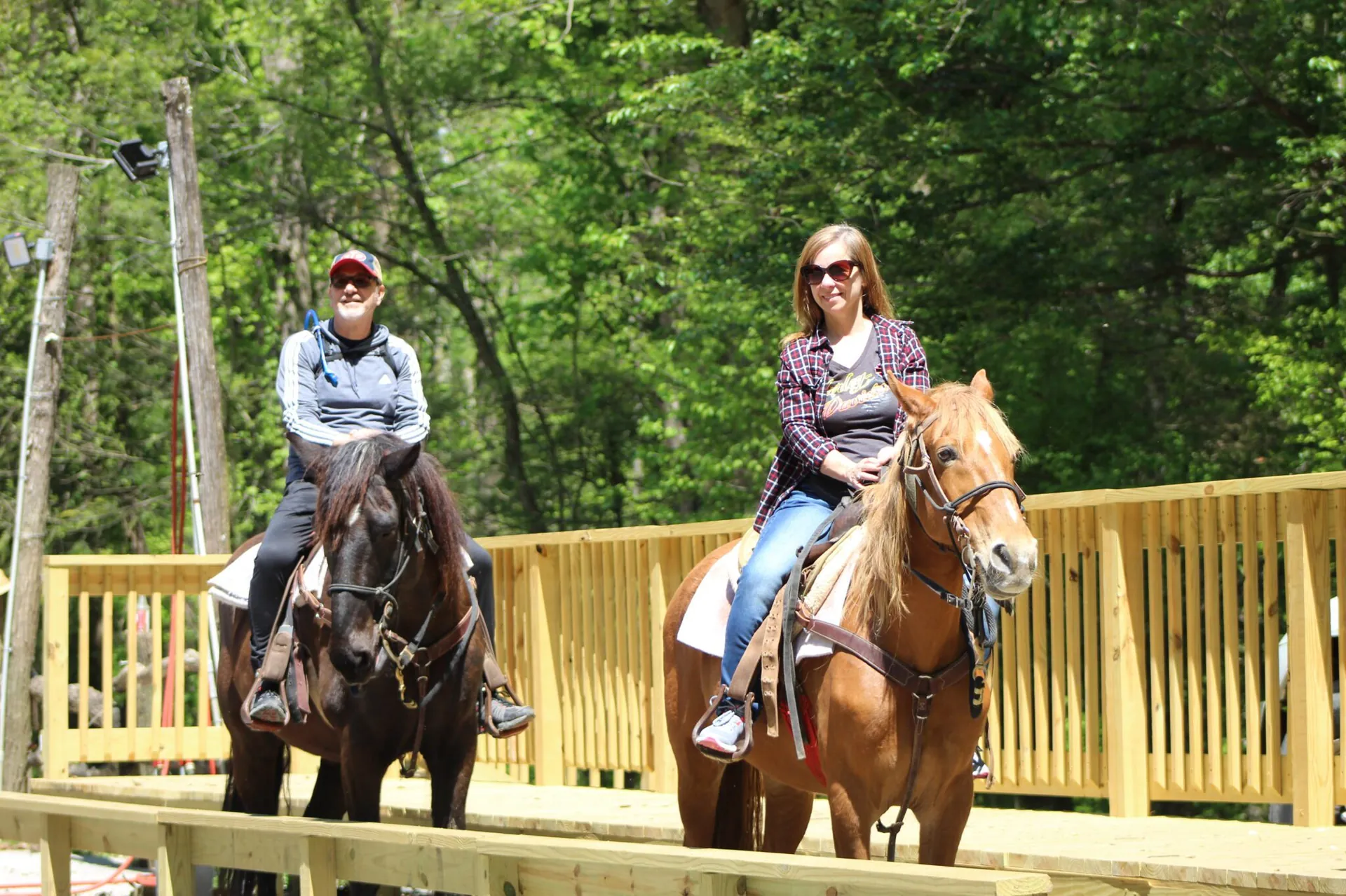 19. Go Horseback Riding at Sugarlands Riding Stables