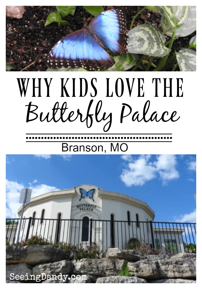 2. The Butterfly Palace & Rainforest Adventure