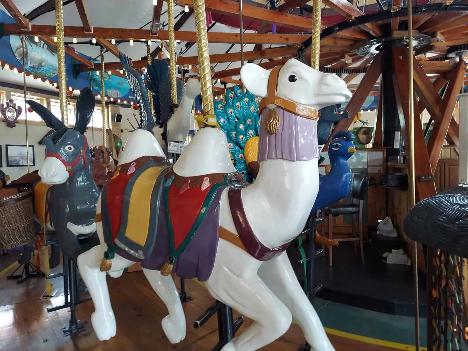 23. Ride the Carousel of Happiness in Nederland