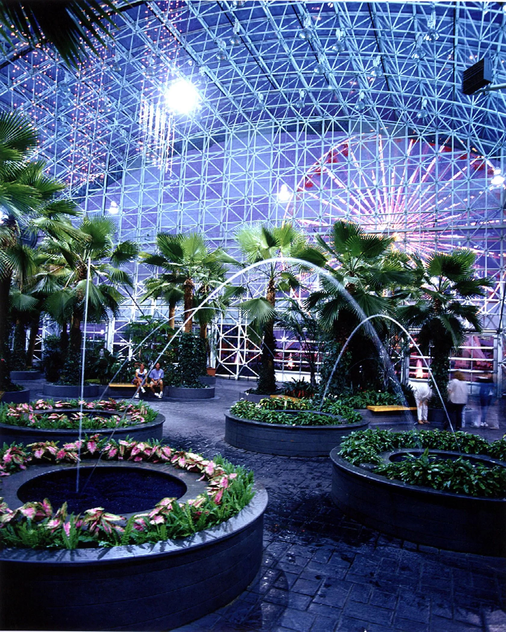 24. Explore Navy Pier’s Crystal Gardens Indoor Botanical Garden (Free Admission)