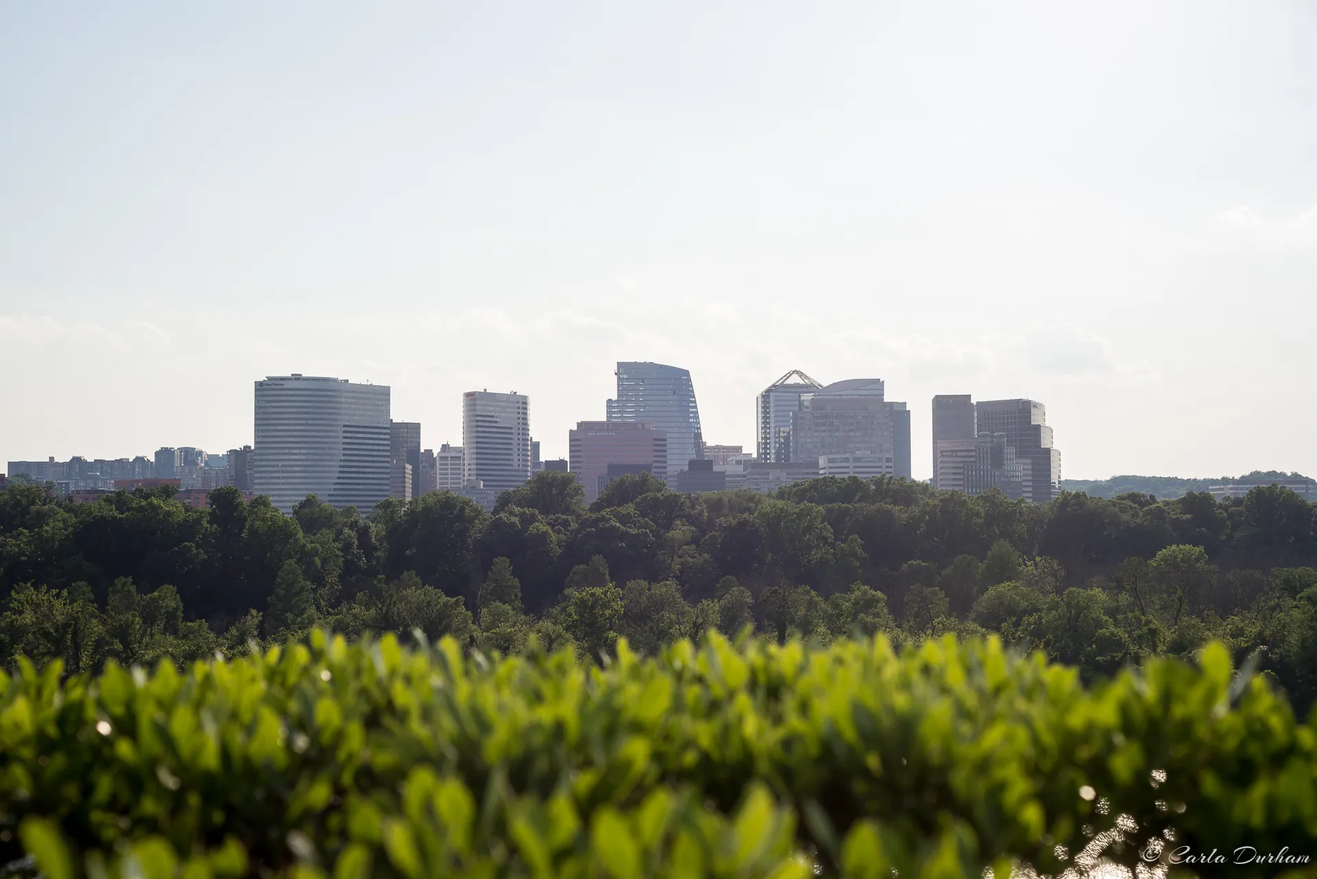 25. Take in Views from The Kennedy Center Terrace