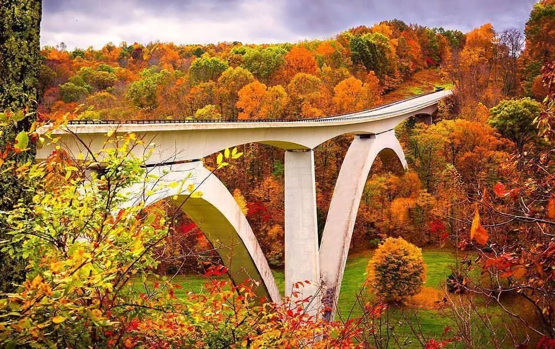 26. Explore Natchez Trace Parkway