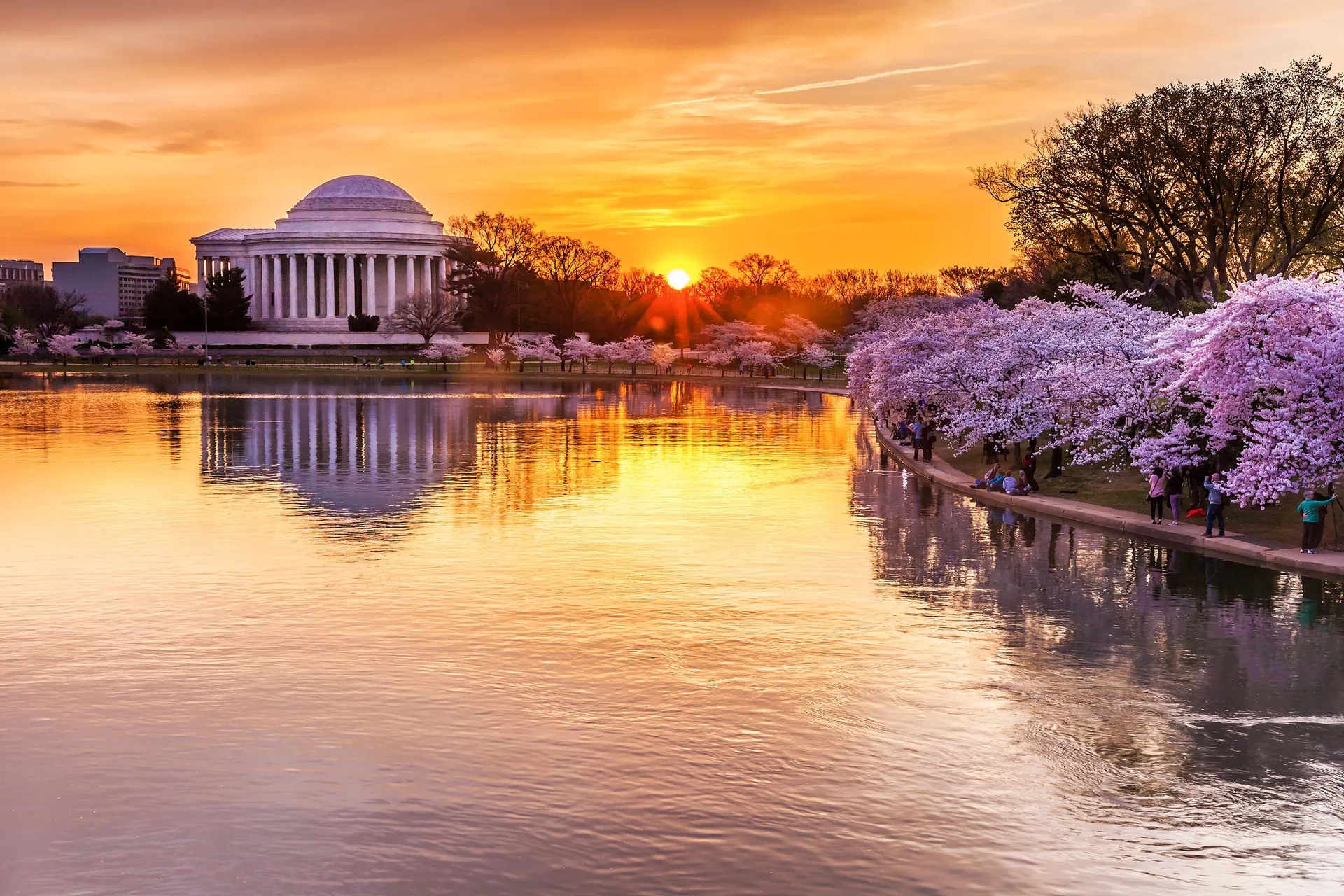 26. Explore Tidal Basin During Cherry Blossom Season