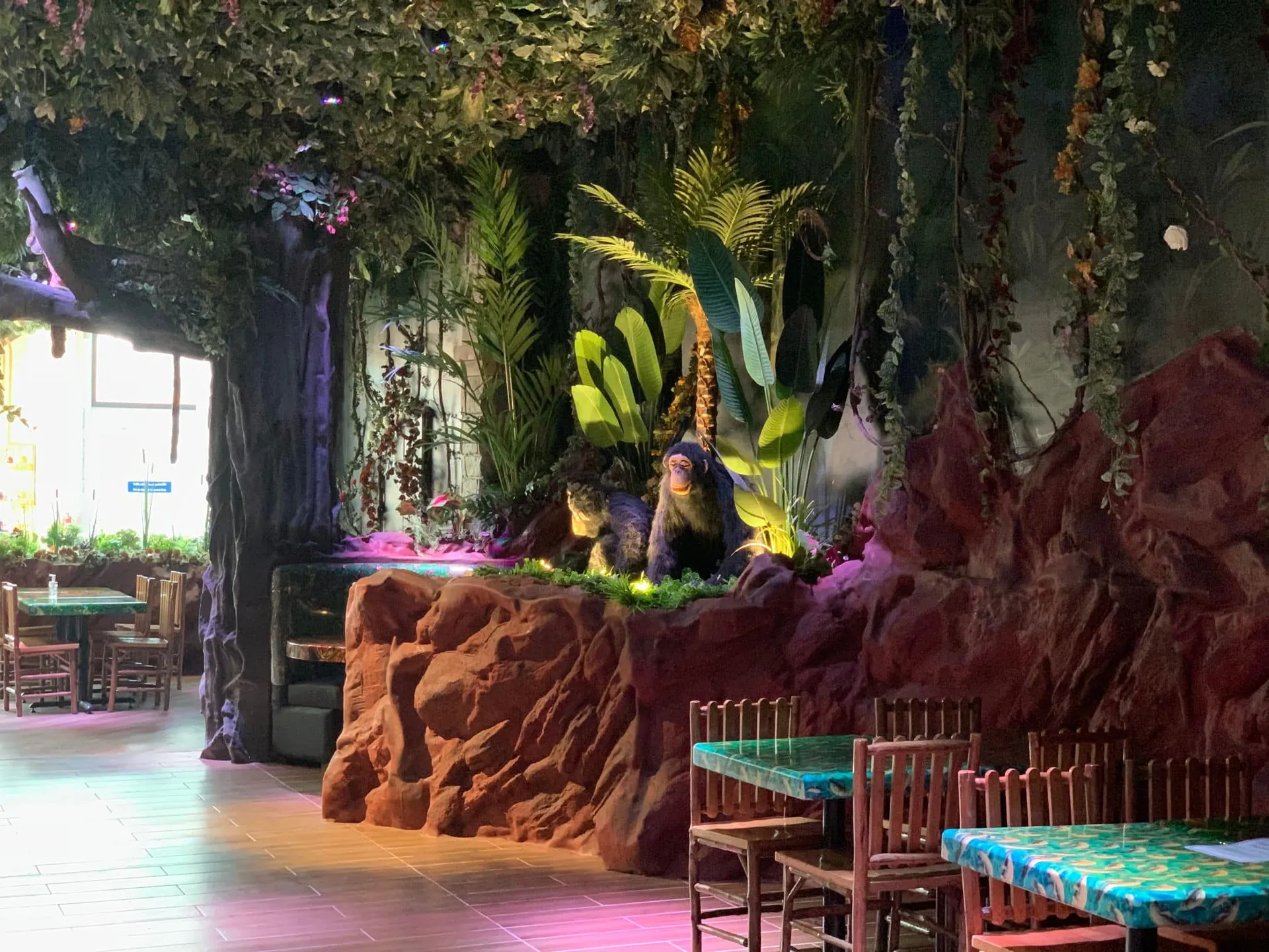 26. Rainforest Cafe Experience