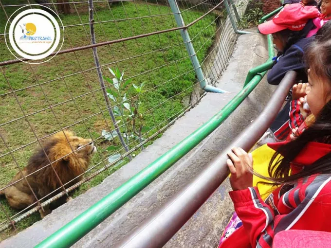 27. Visit Zoológico de Guayllabamba (Guayllabamba Zoo)