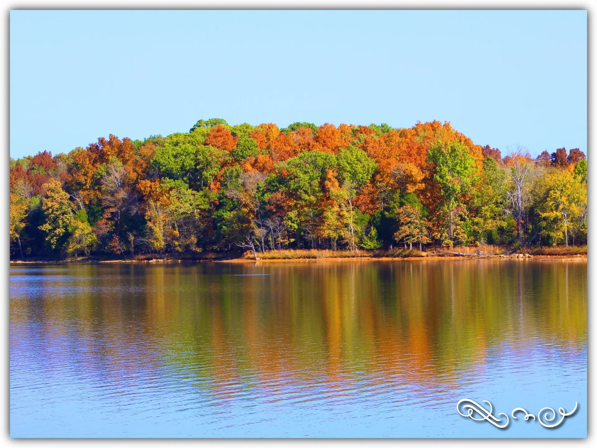 29. Spend Time at Long Hunter State Park