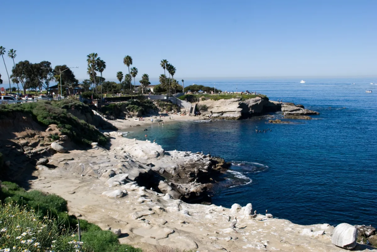 3. Relax at La Jolla Cove