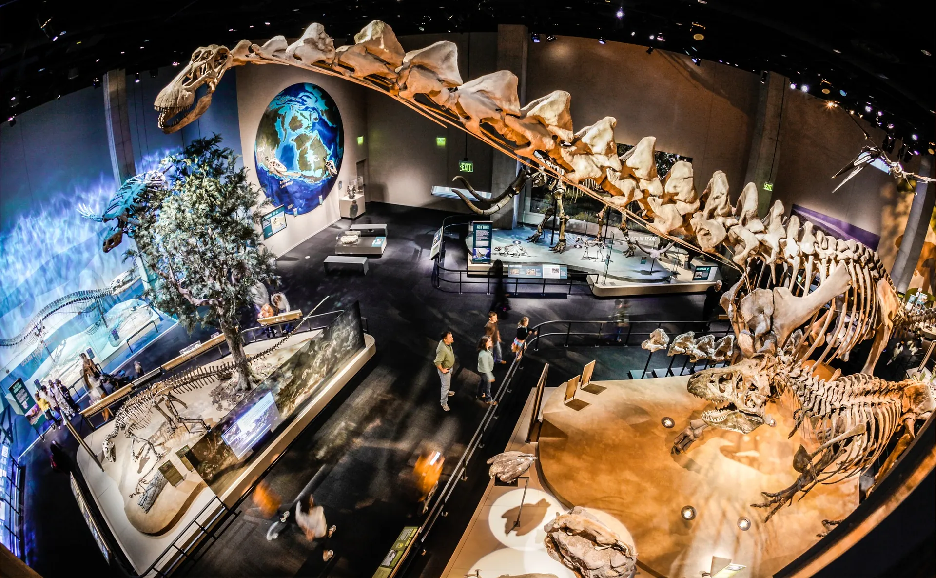 3. Visit the Perot Museum of Nature and Science