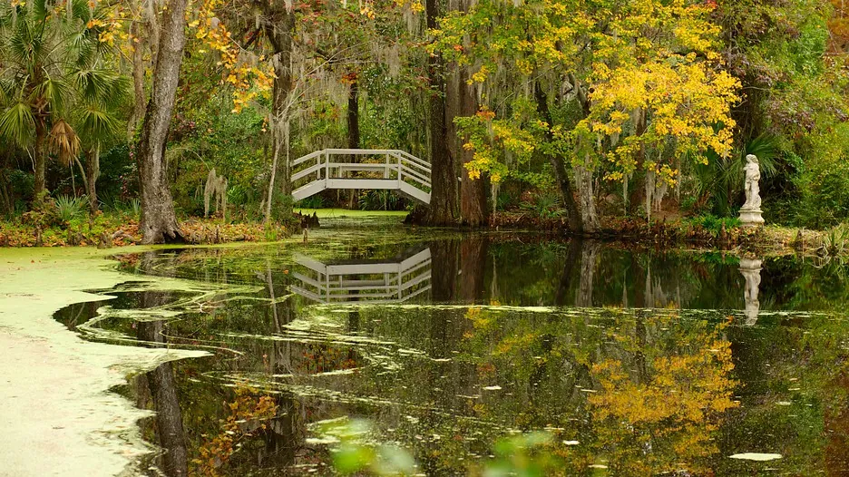 4. Discover Magnolia Plantation & Gardens