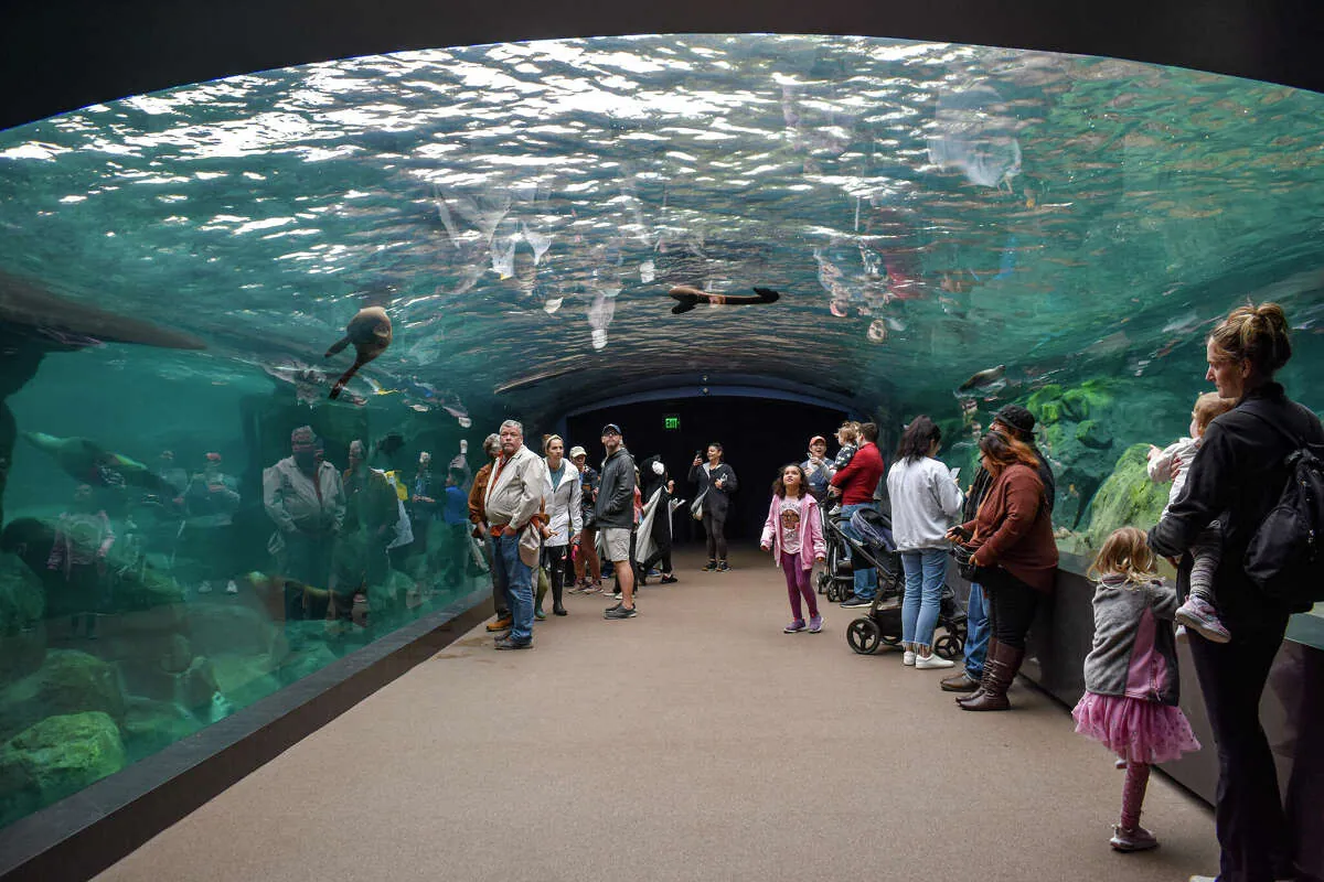 4. Houston Zoo