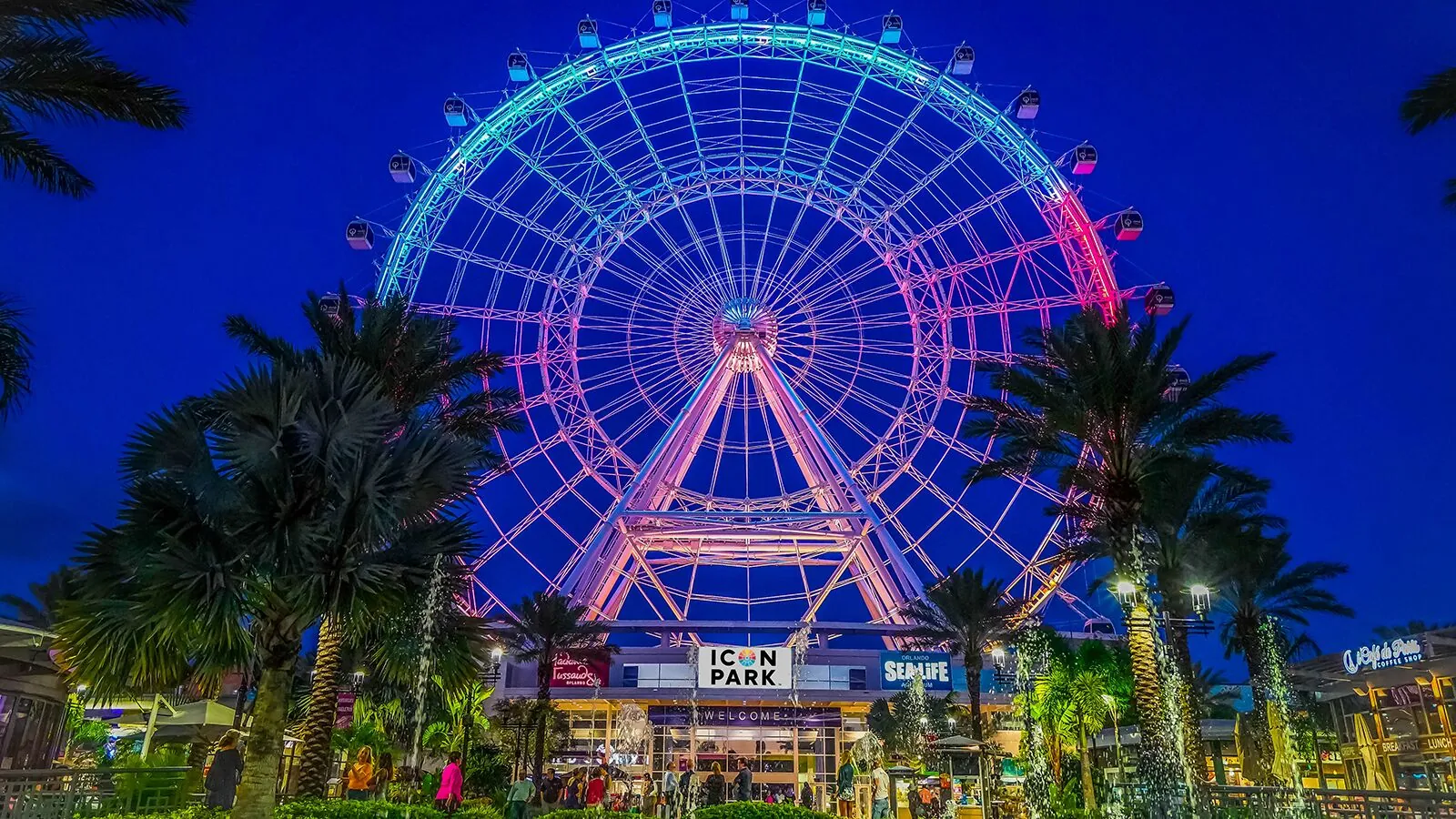 4. Take a Ride on The Wheel at ICON Park