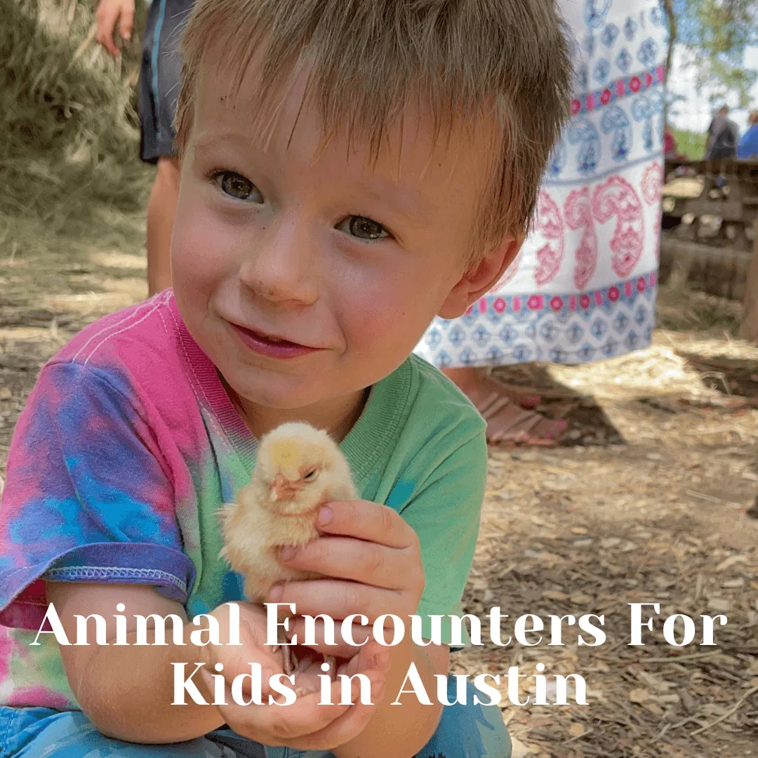 5. Animal Encounters in Arizona