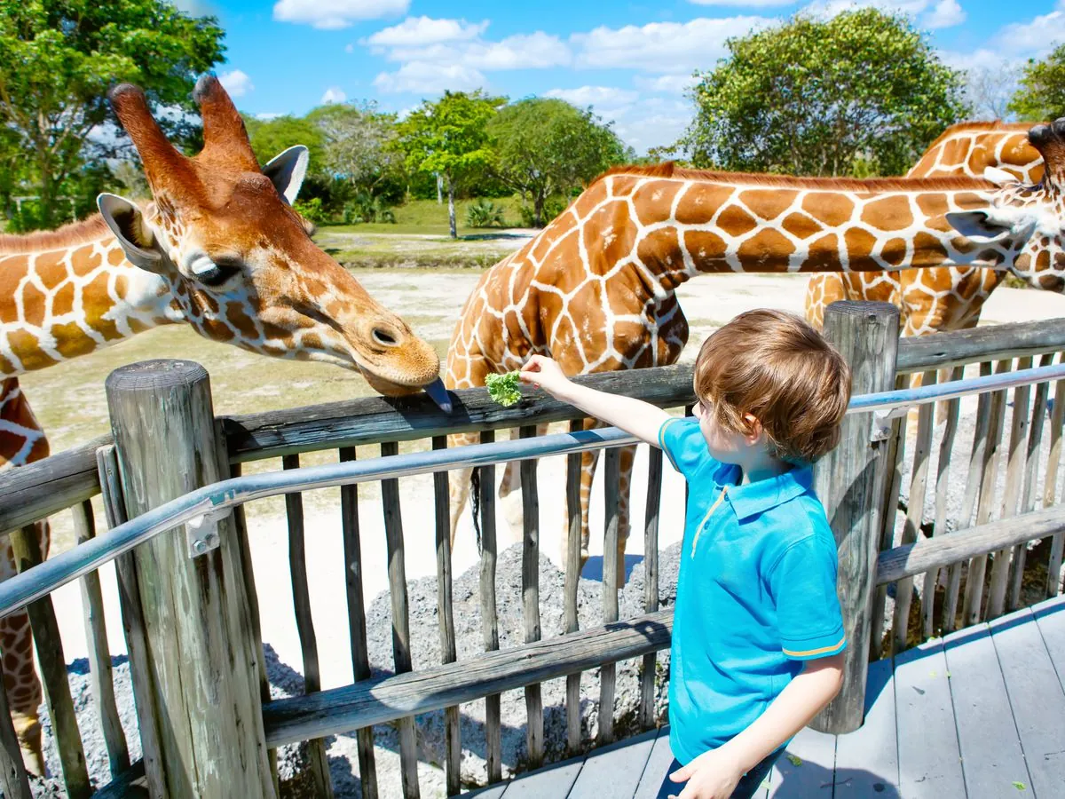 5. Family-Friendly Activities in Miami