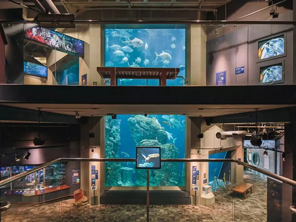 5. Visit the South Carolina Aquarium