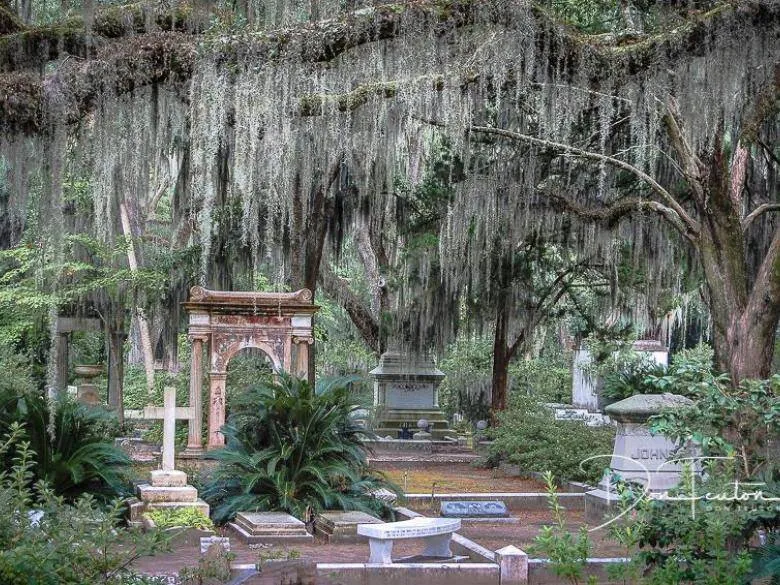 6. Explore Bonaventure Cemetery