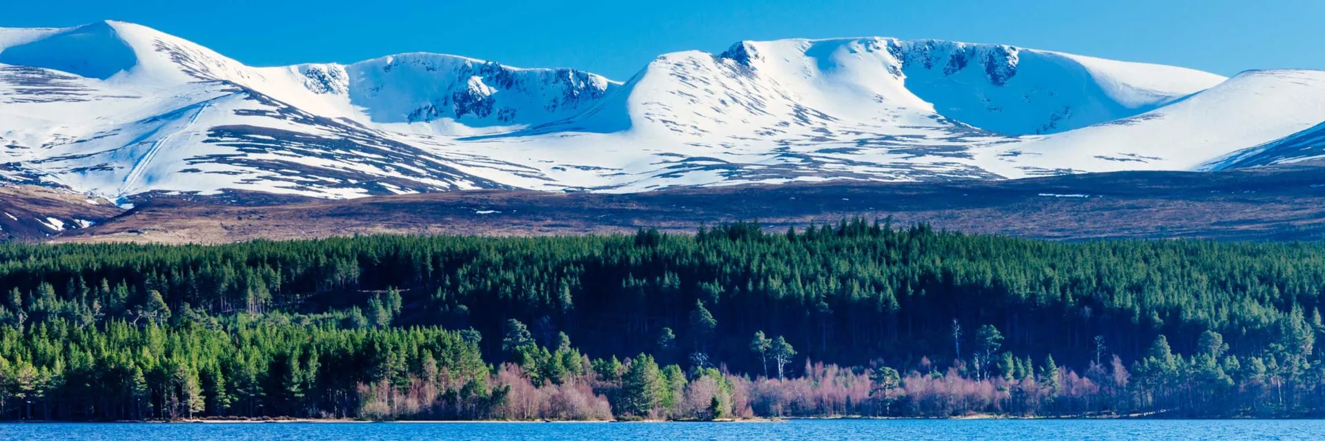 6. Explore Cairngorms National Park