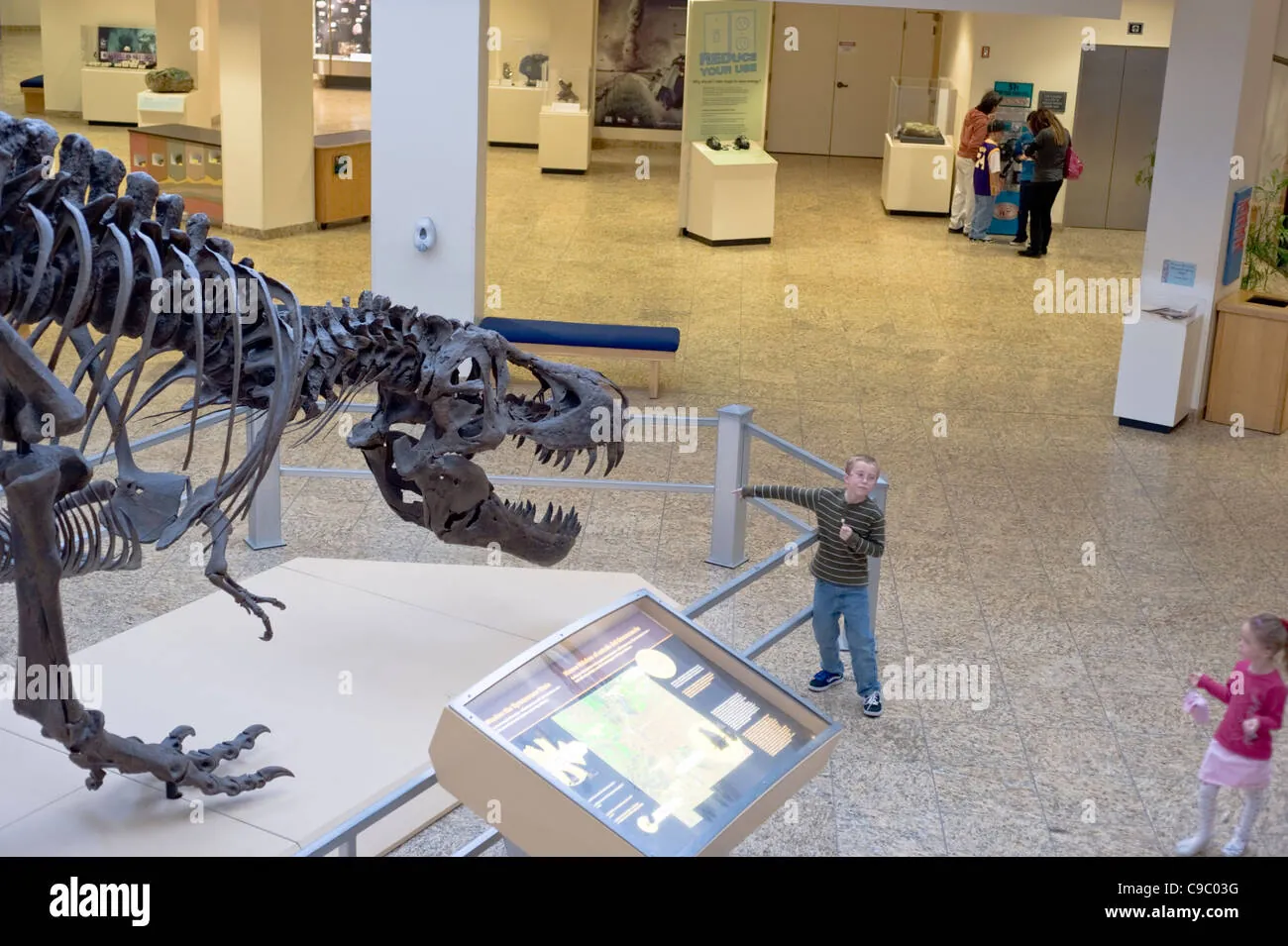 6. Learn at the New Mexico Museum of Natural History & Science